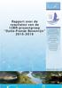 Rapport over de resultaten van de ICBR-projectgroep Duits-Franse Bovenrijn