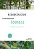 Inhoud. 1. Inleiding 4 2. Efficiëntie van biofungiciden tegen witziekte in tomaat 5 3. Efficiëntie van biofungiciden tegen Botrytis in tomaat 8