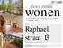 wonen Raphael straat 13 (een herenhuis- 4 woonlagen) Zeer ruim in een familiehuis waar het mogelijk is om uw creativiteit de vrije loop te laten!