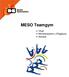 MESO Teamgym. Vloer Minitrampoline (+Pegasus) Airtrack