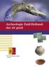 Archeologie Zuid-Holland: dat zit goed