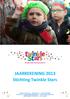 JAARREKENING 2013 Stichting Twinkle Stars