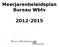 Meerjarenbeleidsplan Bureau Wbtv 2012-2015