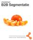 cheatsheet B2B Segmentatie