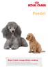 Royal Canin rasspecifieke voeding voor Poedel pups tot 10 maanden voor de volwassen Poedel vanaf 10 maanden. Poedel