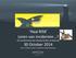 Haai RISK Leren van incidenten? Van aanbeveling naar daadwerkelijke verbetering. 30 October 2014 Peter A. Berlie, Senior Consultant, Teacher/Assessor