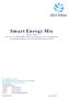 Smart Energy Mix Update 2008 De visie van KIVI NIRIA op de ontwikkeling van de Nederlandse energiehuishouding in de komende decennia tot 2050