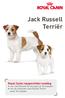 Jack Russell Terriër Royal Canin rasspecifieke voeding