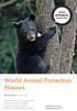 World Animal Protection Nieuws. Winter 2014 Nummer 106