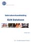 Gebruikershandleiding. GLN Database. Februari 2011. GS1 The global language of business