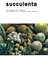 succulenta NEDERLANDS-BELGISCHE VERENIGING VAN LIEFHEBBERS VAN CACTUSSEN EN ANDERE VETPLANTEN