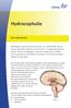 Hydrocephalie. Het waterhoofd