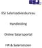 Handleiding. Online Salarisportal. HR & Salarisinzien