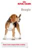Royal Canin rasspecifieke voeding voor de volwassen Beagle vanaf 12 maanden. Beagle