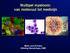 Multipel myeloom: van molecuul tot medicijn. Marie José Kersten Afdeling Hematologie, AMC
