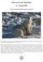 IJsberenreis naar Spitsbergen. 21-29 juni 2016