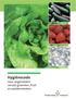 Hygiënecode. voor ongesneden vers(e) groenten, fruit en paddenstoelen