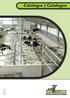 Catalogus Catalogue..V e B u g g tin lo a h t a 1 1 ric C 0 lin a s r 2 t e u S g b D m S lo a e v D t a o C N