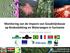 Monitoring van de Impacts van Goudmijnbouw op Bosbedekking en Waterwegen in Suriname REDD+ FOR THE GUIANA SHIELD