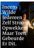 achtergrond Ineens Wilde Iedereen Zelf Stroom Opwekken. Maar Toen Gebeurde Er Dit. FORUM 25.09.14