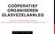 COÖPERATIEF ORGANISEREN GLASVEZELAANLEG DE MULTISTAKEHOLDER BREEDBANDCOÖPERATIE REALISATIE GEMEENTELIJKE GLASVEZELNETWERKEN OP COÖPERATIEVE BASIS