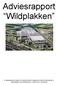 Adviesrapport Wildplakken