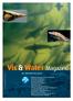 Vis & Water Magazine. De Atlantische steur
