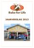I N H O U D. Jaarverslag 2013 Bake for Life Pagina 2