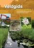 Onderhoudsbeelden wateren en waterkeringen Overzicht beschermde flora en fauna Overzicht probleemflora en -fauna