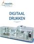 DIGITAAL DRUKKEN DIETER DE DUYTSCHAEVER 2004-2005. Digitaal drukken
