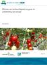 Effecten van luchtvochtigheid op groei en ontwikkeling van tomaat