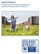 WACHTGEVELS. Informatieve brochure over het gebruik van tijdelijke wanden bij de bouw van je eigen woning in de HELENASTRAAT