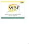 Voorstelling VIBE vzw