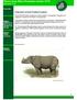 Nieuws Asian Rhino Foundation oktober 2010 (jaargang 2, nr 3)