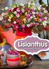 Lisianthus. The special flower