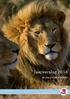 Jaarverslag 2014. Stichting VIER VOETERS. Meer humaniteit tegenover dieren