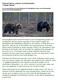 Finland: Beren, wolven en korhoenders 7-daagse fotoreis
