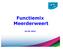 Functiemix Meerderweert 02-02-2012