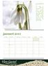 tuin-kalender januari 2011 groentip sneeuwklokje
