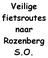 Veilige fietsroutes naar Rozenberg S.O.