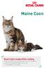 Maine Coon. Royal Canin rasspecifieke voeding Voor de Maine Coon kitten van 4 tot 15 maanden Voor de volwassen Maine Coon van 15 maanden tot 12 jaar