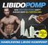 HANDLEIDING LIBIDO HANDPOMP