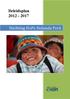 Beleidsplan 2012-2017. Stichting HoPe Holanda Perú