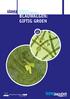 DE biologie en risico s van cyanobacteriën. Blauwalgen: Giftig Groen 1