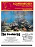 AQUARIUMHOBBY Maandblad voor zoetwater- en zeewater aquarianen Jaargang 3, nummer 05, mei 2004