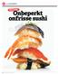 Onbeperkt onfrisse sushi