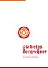 Diabetes Zorgwijzer. Een overzicht van de zorg voor volwassenen met diabetes type 2