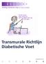 Transmurale Richtlijn Diabetische Voet