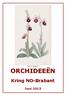 Ophrys equinum ORCHIDEEËN. Kring NO-Brabant