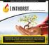 www.linthorst-installatietechniek.nl Elektra I Beveiliging I Datacommunicatie I Regeltechniek Duurzame energie concepten